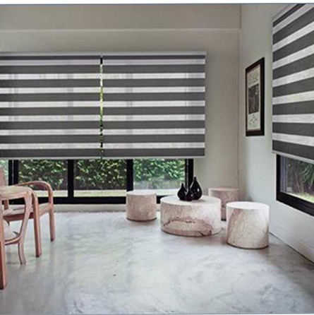 How Zebra Shades for Home Revolutionize Window Treatments: A Perfect Blend of Style and Functionality